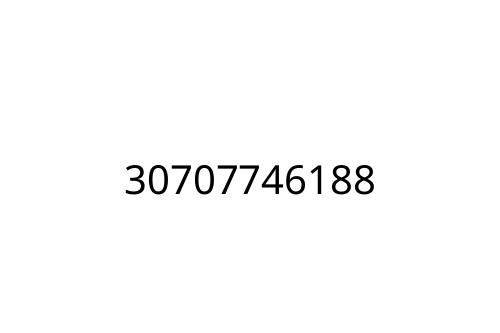 30707746188