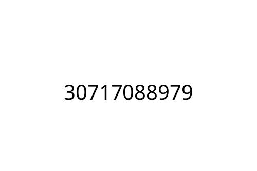 30717088979