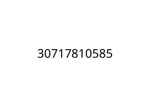 30717810585