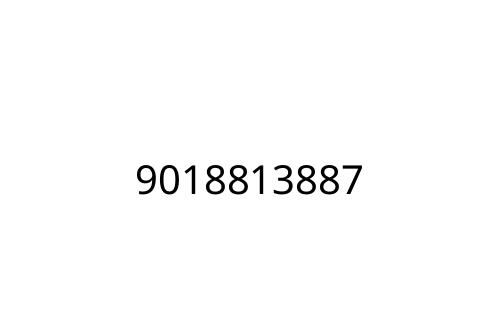 9018813887