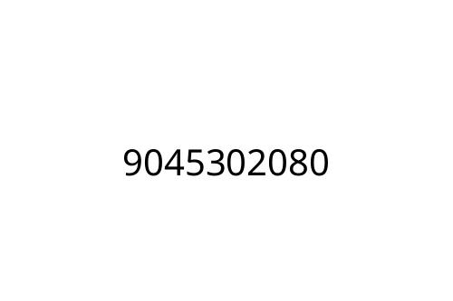 9045302080