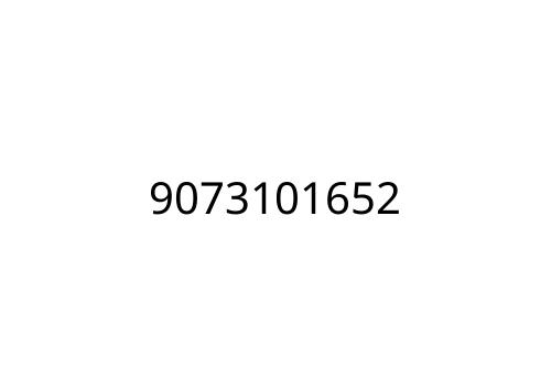 9073101652