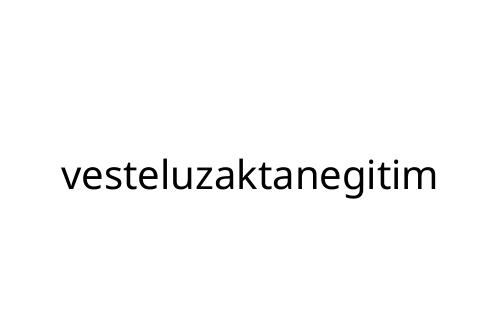 vesteluzaktanegitim