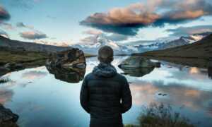 drug effects of tamophage disease