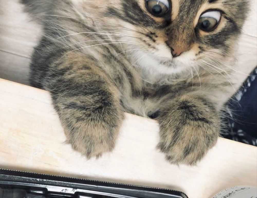 3000 dolares a pesos chilenos