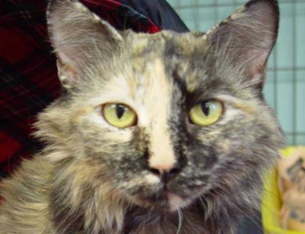 60000 pesos colombianos a soles