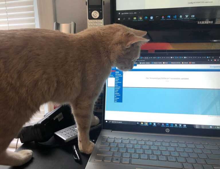 kenna sweets leaked onlyfans