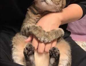 libra hari ini gemintang