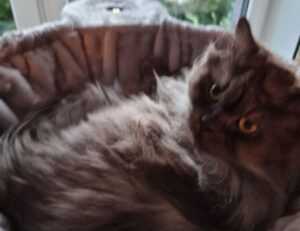 little girl without a shirt scary