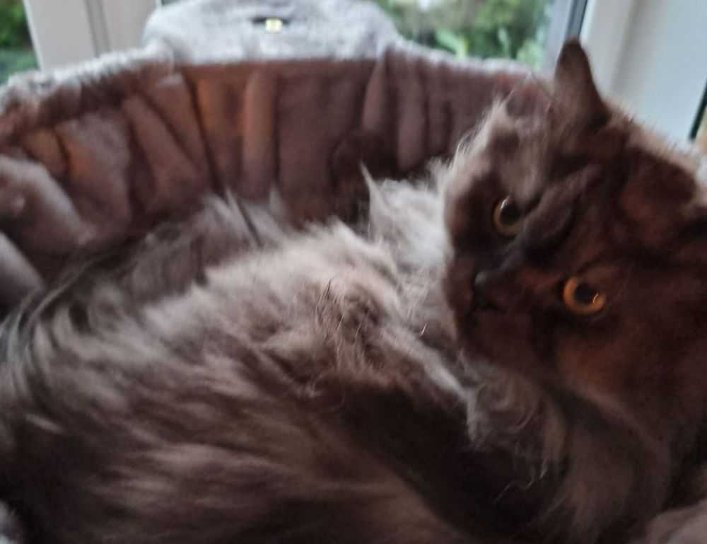 little girl without a shirt scary