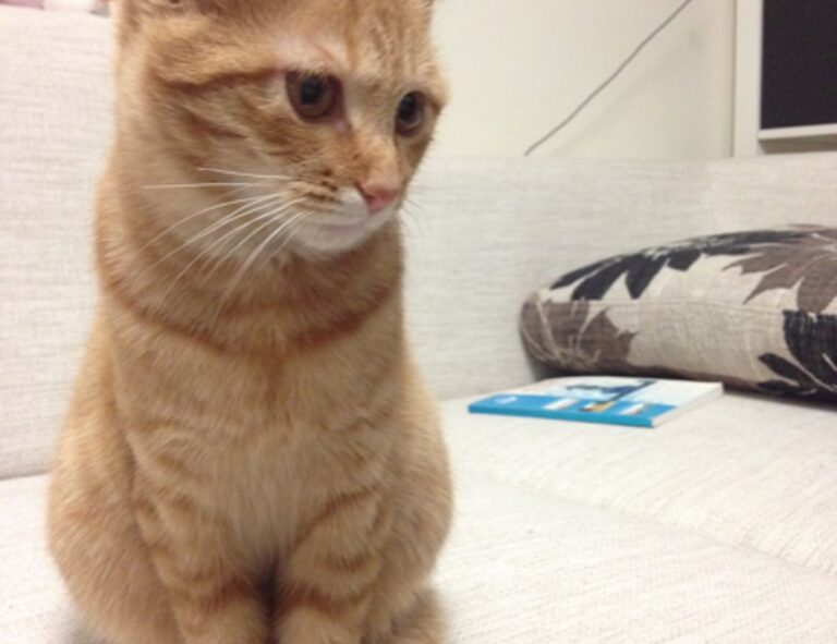 mujer cumpleaños cristianos