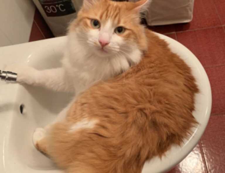 mujeres fondos para perfil de whatsapp