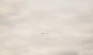 onenightfriend delete account