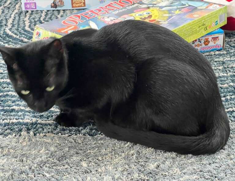 riley mae lewis nude