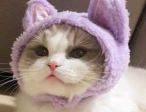 romantic good morning love gif for whatsapp