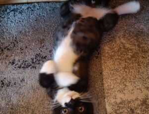 vintage feliz cumpleaños fashion mujer