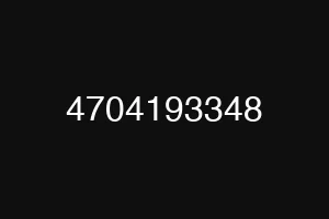4704193348