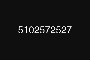 5102572527
