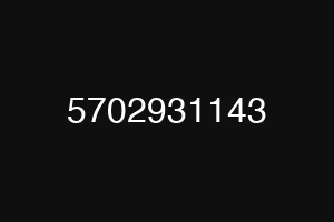 5702931143