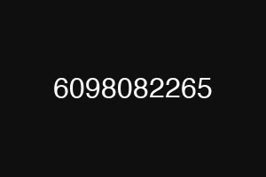 6098082265