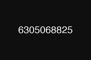 6305068825