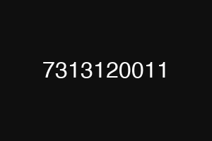 7313120011