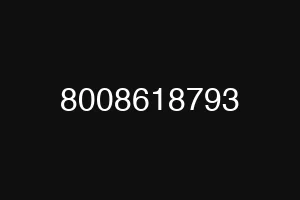 8008618793