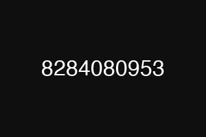 8284080953