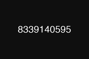 8339140595