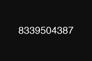 8339504387