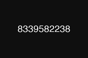 8339582238