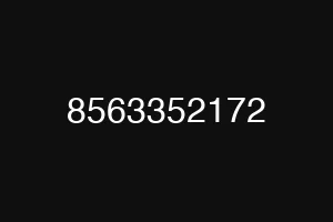 8563352172