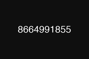 8664991855