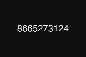 8665273124
