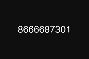 8666687301