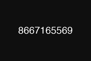 8667165569