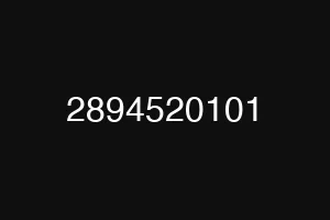 2894520101