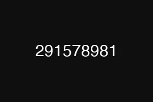 291578981