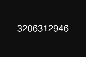 3206312946