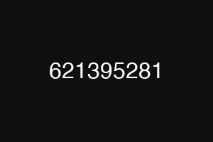 621395281