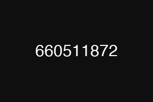 660511872