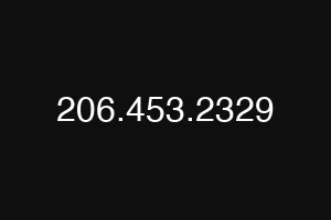 206.453.2329