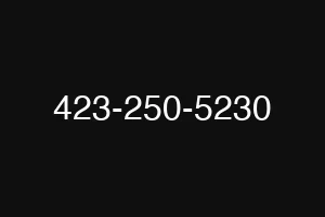 423-250-5230
