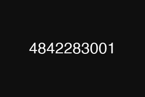 4842283001