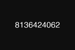 8136424062