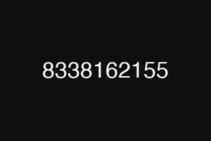 8338162155