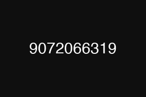9072066319