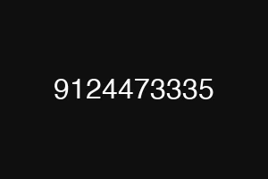 9124473335